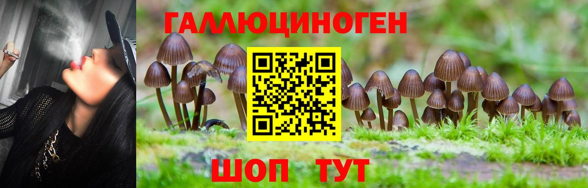 Галлюциногенные грибы MAGIC MUSHROOMS Кудымкар